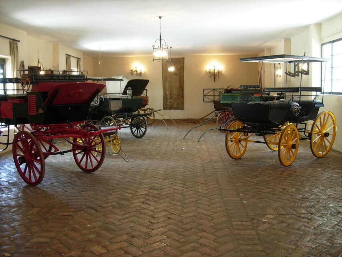 Hacienda Chambergo Casa En La Campina Sevillana Écija Екстериор снимка